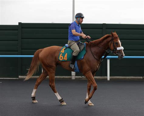 【pog】名牝の血を継ぐフラミニア 北都から出陣 陣営「芝で良さが出そう」 競馬ニュース Netkeiba