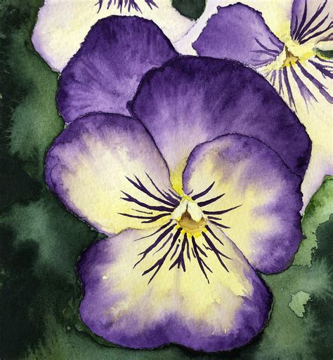 Original Purple Pansy Watercolour Pansy Watercolour Print Etsy