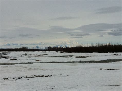 Denali As Seen From The River In Talkeetna Alaska