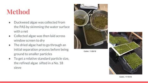 Bioplastic From Algae