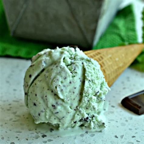 Homemade Mint Chocolate Chip Ice Cream