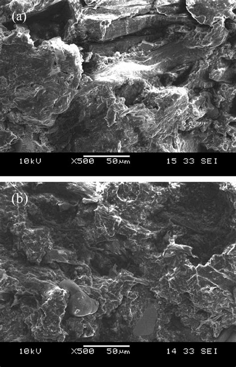 Sem Micrographs Of The Impact Fracture Surface For Composites A