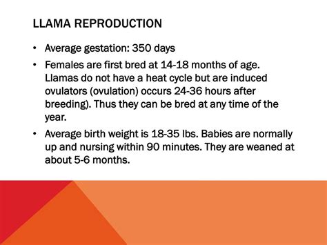 Ppt Misc Livestock Powerpoint Presentation Free Download Id2308324