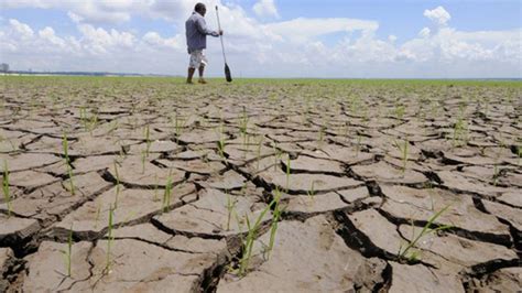 El Riesgo Climático Una Amenaza Latente Para Los Ciclos Agrícolas