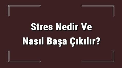 Stres Nedir Ve Nas L Ba A K L R Stresin Zararlar Ve V Cuda Etkileri