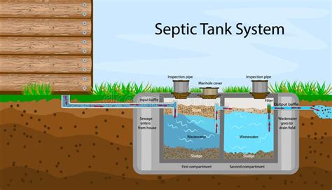 Septic Tank Diagram Septic System And Drain Field Scheme Stock Vector