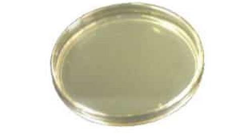 Lb Broth Agar Recipe