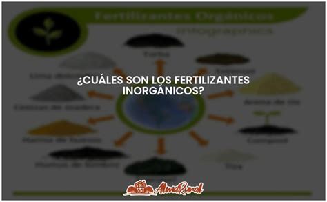 Fertilizantes inorgánicos tipos y beneficios ALMARURAL