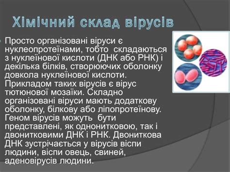 Презентація "Віруси"