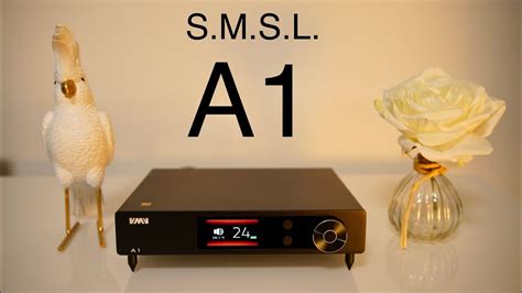 SMSL VMV A1 as a loudspeaker amp💪 - YouTube
