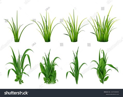 Realistic Grass Bushes Green Fresh Plants Stock Vector Royalty Free