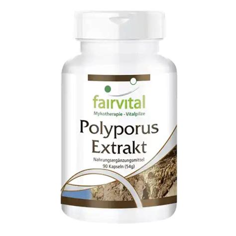 Polyporus Extrakt Fairvital 90 Kapseln Mykotherapie Vitalpilze