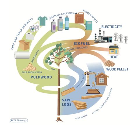 How Bioenergy Contributes To A Sustainable Future Iea Bioenergy