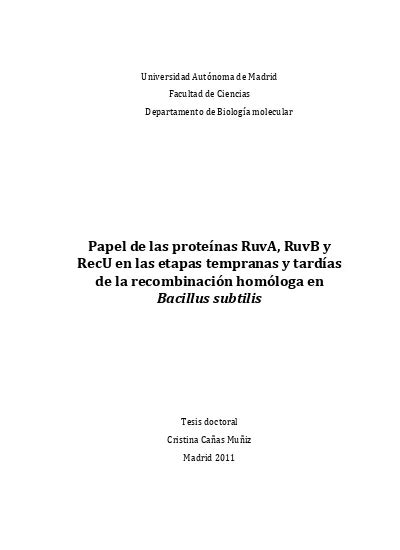 Papel de las proteínas RuvA RuvB y RecU en las etapas tempranas y