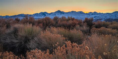 Owens River Owens Valley Inyo County Eastern Sierra Winter Flickr