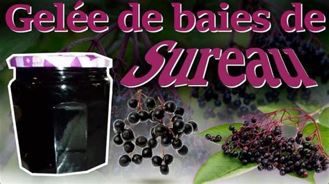 Gelee De Sureau Noir Recette Actualis Janvier