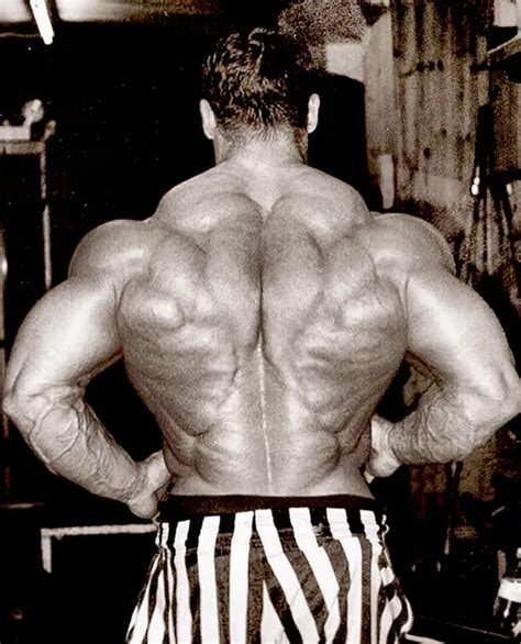 Seated Cable Row Alternative Exercises For Building A Massive Back