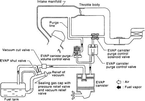 Ford Evap System Diagram