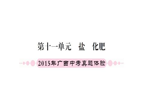 2016 化学广西专版复习配套课件：第一篇 考点系统复习 第十一单元 盐 化肥共59张pptword文档在线阅读与下载无忧文档