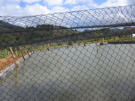 Produto Engepesca Redes Para Aquicultura