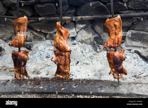 Three Suckling Pigs On Spits Roasted Over An Open Fire Sardinian