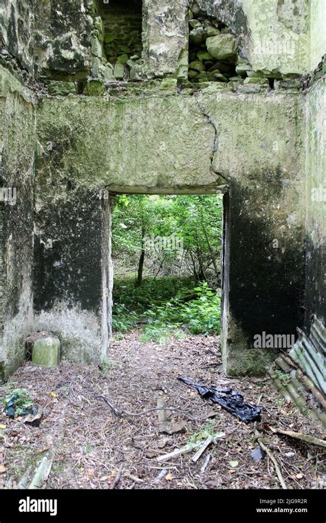 Old Irish Cemetery Stock Photo Alamy