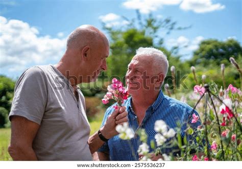 3 Hundred Senior Same Sex Couple Royalty Free Images Stock Photos