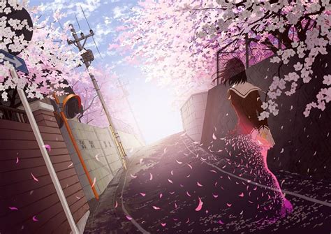 Anime Sakura Blossom Wallpapers - Wallpaper Cave