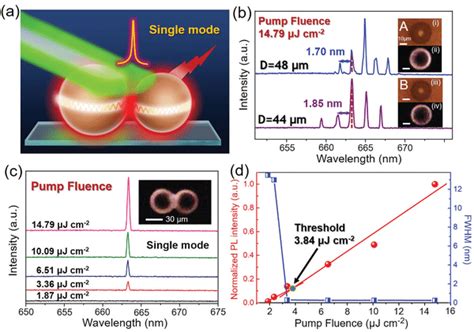 A Schematic Diagram Of Strong Coupling Between Two Npl‐coated