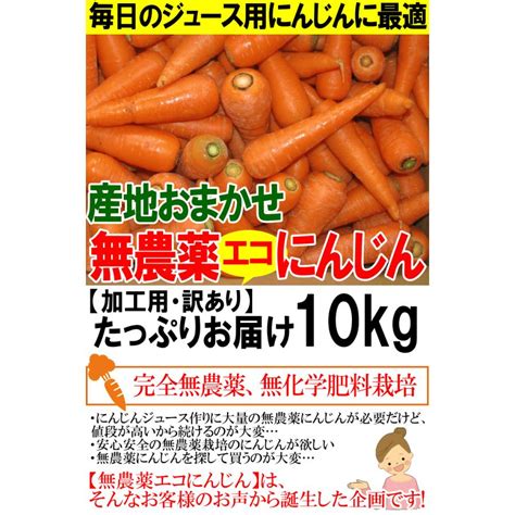 あすつく 人参ジュースに最適 無農薬にんじん 10kg 加工ジュース用 訳あり 無農薬人参 10kg 【クール便対応】エコにんじん 402