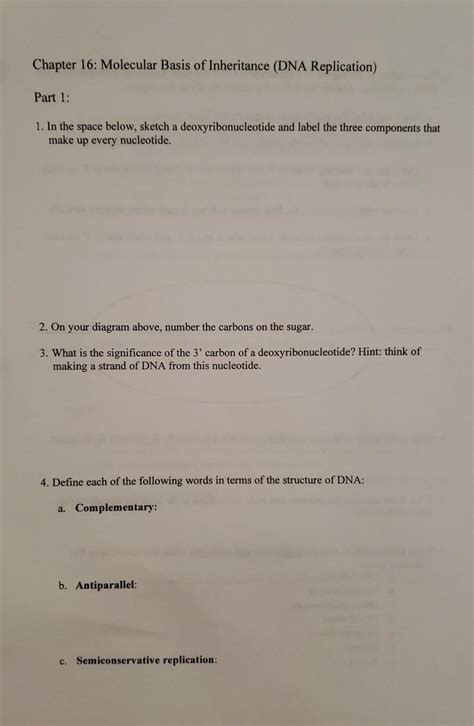 Solved Chapter 16 Molecular Basis Of Inheritance DNA Chegg