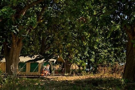 Mana River Camp Machaba Safaris Bewertungen Fotos Mana Pools