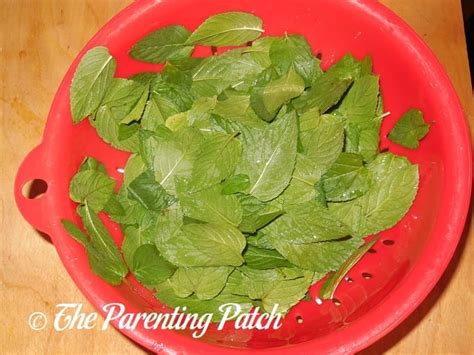 Peppermint Extract Recipe