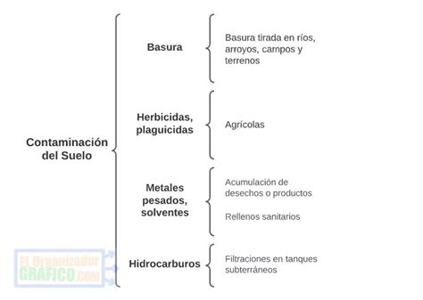 Cuadro De Contaminación Del Suelo Sinoptico Mapas Mentales Cuadros