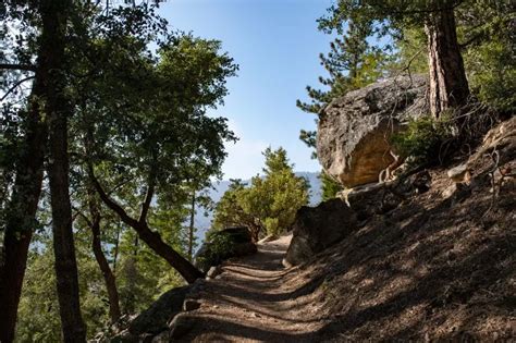 15 Fun Best Things To Do In Idyllwild California