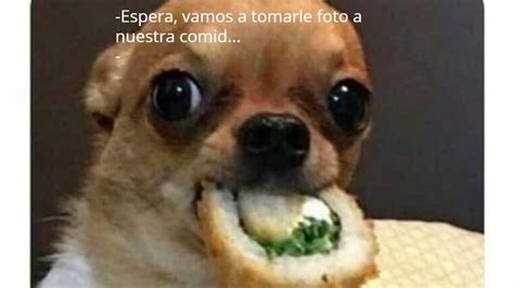 Burlas Hasta En La Sopa Estos Son Los Mejores Memes De Comida Que