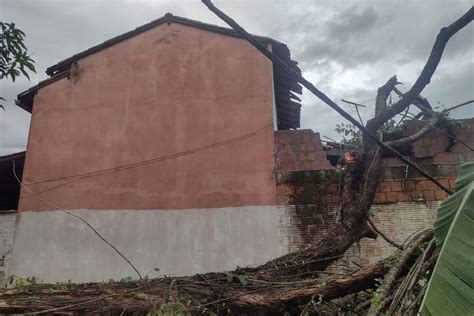 Chuva forte e rajadas de vento causam estragos em Resende árvore