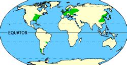 Temperate Forest Location