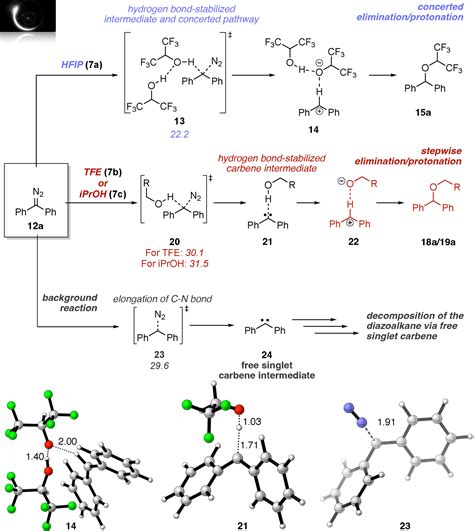 Proton Or Carbene Transfer On The Dark And Light Reaction Of