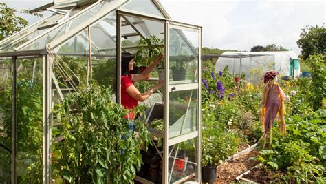 Transformez votre intérieur en oasis de verdure Découvrez les 7