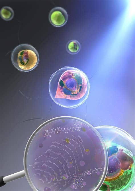 High Throughput Label Free Molecular Fingerpr Eurekalert