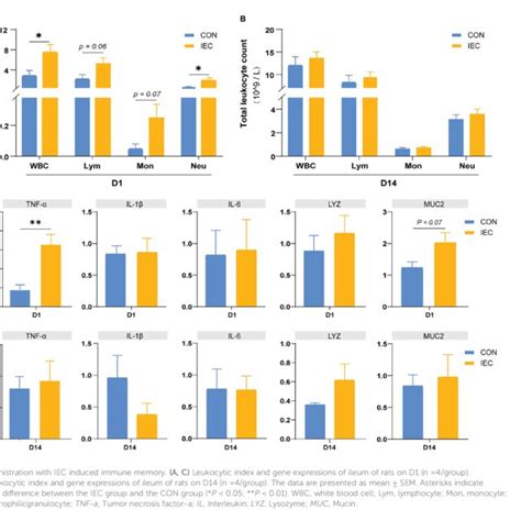 Pathological Changes Of Intestinal Villus And Crypt And The Relative