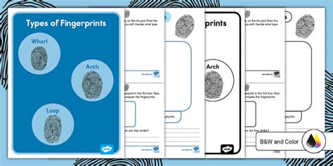 All About Fingerprints Activity For K 2nd Grade Twinkl