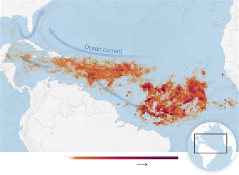 Where Is The Algae Bloom In Florida Map Torie Harmonia