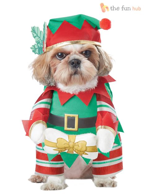 Christmas Outfits Ideas for Dogs – InspirationSeek.com