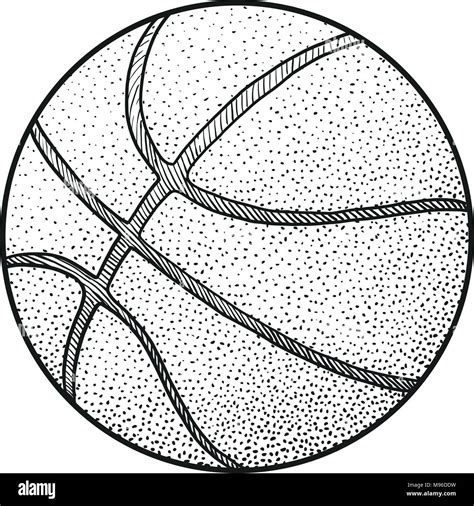 Basketball Line Drawing