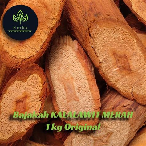 Jual Akar Bajakah Kayu Bajakah Kayu Bajaka Bajakah Bajaka KALALAWIT