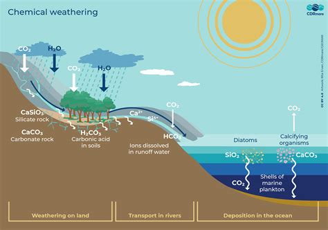 Chemical Weathering Carbon Dioxide Diagram