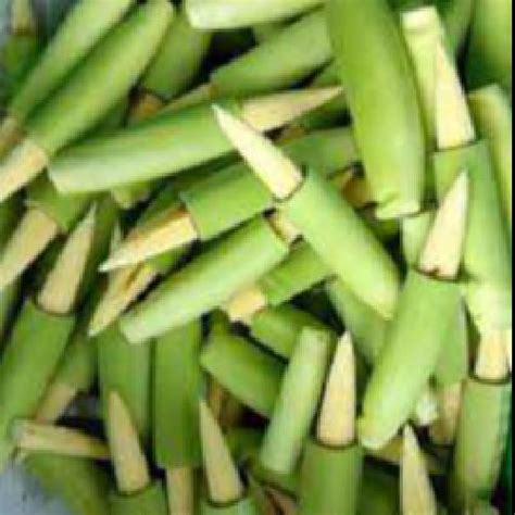 jagung janten muda putren