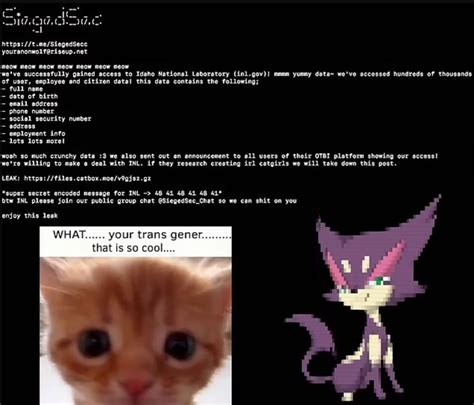 Οι gay furry hackers χάκαραν πυρηνικό εργαστήριο και απαιτούν να